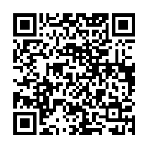 只见紫色的巨印直接不偏不倚的落到了金甲傀儡的身上二维码生成