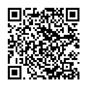 只见自己的两只大手竟以肉眼可见的速度枯萎下来二维码生成