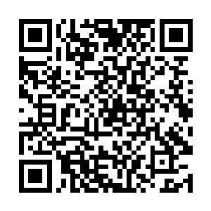 只见花悠悠正在和她的三个室友一边冲这边指指点点二维码生成