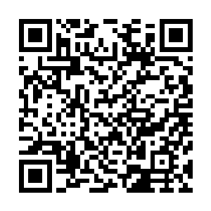 只见苏凡还有双鱼圣骑两人顿时便不由的朝着后面倒飞而去二维码生成