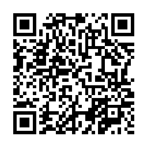 只见虚空之中的九彩色的光幕顷刻间出现了一道恐怖的裂缝二维码生成