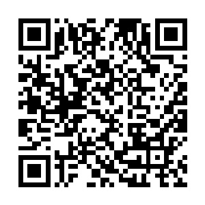 只见虚空之中的恐怖的巨印也直接落到了血僵魔胎之上二维码生成
