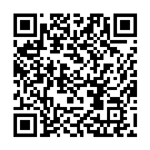 只见虚空之中的诡异的虚影身体挣扎的也更加的厉害二维码生成