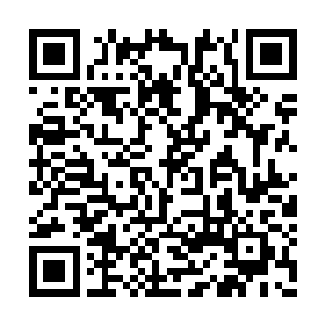 只见蛮苍身上猛地爆射出一股恐怖的森冷的杀意二维码生成