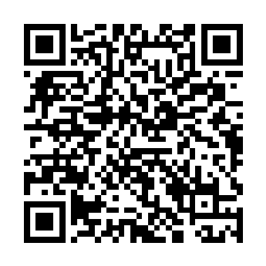 只见血魔的身体就被密密麻麻的蜘蛛给淹没在了里面二维码生成