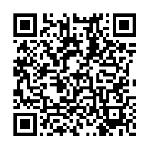 只见被罗楼放下的伊娜莉正蹑手蹑脚的想要逃跑二维码生成