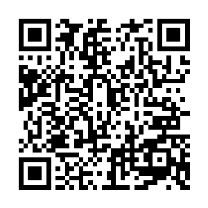 只见许多科学家已经带着设备陆陆续续冲了进去二维码生成