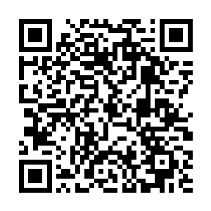 只见踢云乌骓不知什么时候溜达到了她们前面不远处二维码生成