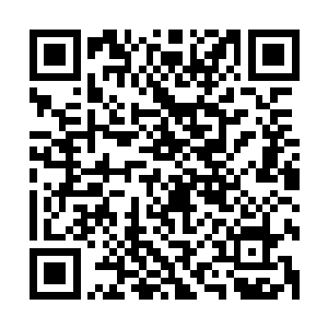 只见身穿一声白色长袍的副院长白恩正笔直的站在宿舍房门外二维码生成