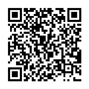 只见这些数量众多的岩浆之龟疯狂的往某个地方齐聚二维码生成