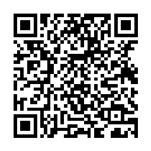 只见这块巨石和智禅方丈手掌接触之处开始化为灰烬二维码生成