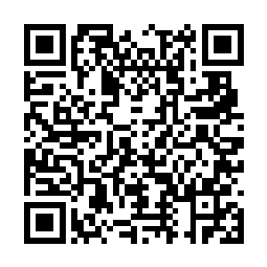 只见这小乾坤与石正死后留下的乾坤福地如出一辙二维码生成