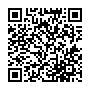 只见这里摆着分别被六只木笼关押着的六头野狼二维码生成