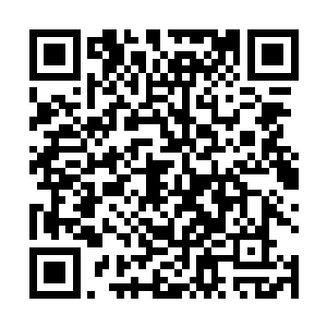 只见逆鳞枪的枪头不断随着他的枪进枪出咔嚓翻转变化二维码生成