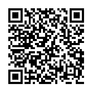 只见那与溪泉还有三寸泥土宽的回廊处突然钻出一股溪水二维码生成