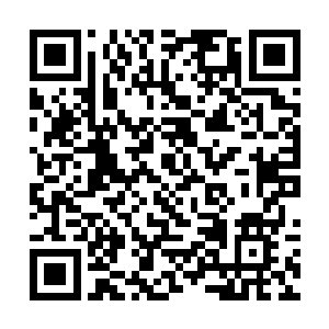 只见那个叫李特的第四代妖尸嘴里不知道想到了什么二维码生成