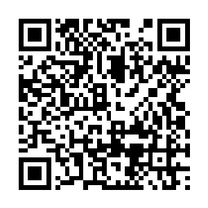 只见那九彩色的光幕再一次出现在了龙傲天的面前二维码生成