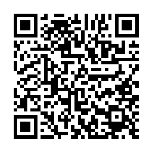 只见那些人手中的铁棍每次都是差一点就砸到夏天的脑袋二维码生成