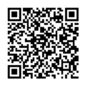 只见那些异兽将石台周围散落的铠甲全部穿在了身上二维码生成