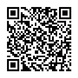 只见那些水蛭已经有很多都达到了九天玄仙后期巅峰二维码生成