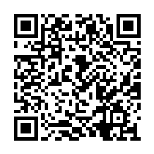 只见那些莫名出现的力量将眼前的敌人一一斩杀二维码生成