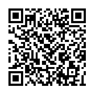 只见那些血腥中的冤魂原本都是怨毒不甘的神情二维码生成