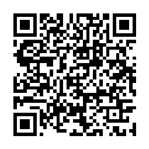 只见那原本平坦的地面突然冒出一根根尖利的石刺二维码生成