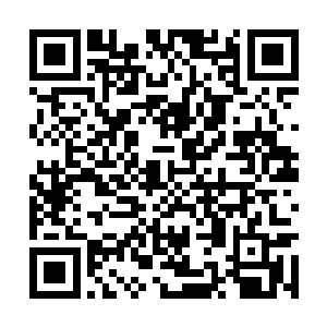 只见那名与他交过手的华服男子突然走到马车近前二维码生成