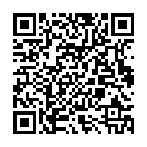 只见那名红眼男子此刻双手紧紧的捂住自己的双眼二维码生成