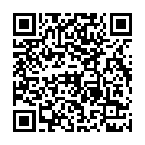 只见那条千丈冰龙的身体从七寸开始出现了一道道裂缝二维码生成