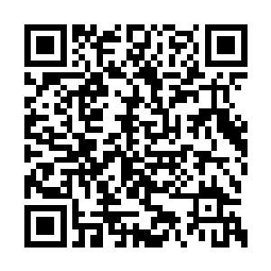 只见那条蛇距离跌坐于地的萧黎几乎仅咫尺之距二维码生成