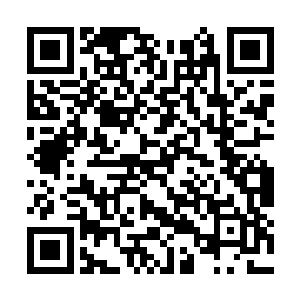 只见那枚赤焰脂急速飞旋于挖出的巨大地下洞窟内二维码生成