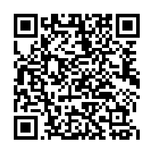 只见那水晶棺原来所在位置处出现一个阶梯隧道二维码生成