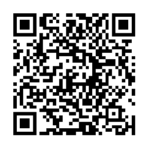 只见那血滴子模样的东西上有着一道道弯弯曲曲的纹路二维码生成