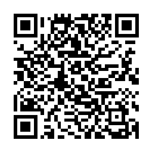 只见那被沈薇开除的保安队长正被同开除的郑龙追的抱头鼠窜二维码生成