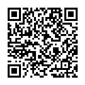 只见那趴在地上的黄金巨蟒骤然挥动着那巨大的尾巴二维码生成