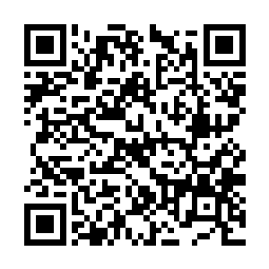 只见院子里杨大成正跟五位吊儿郎当的差役对峙着二维码生成