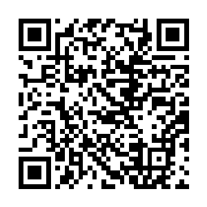 只见青色的灵力形成一道飓风朝着林烽攻击了过来二维码生成