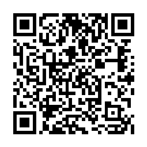 只见食盒里摆放着一碟青梅糕和一碗雪梨蛋奶羹二维码生成