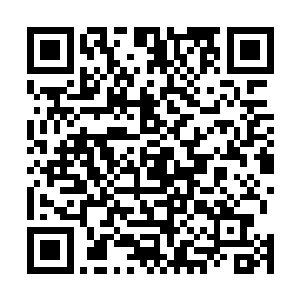 只见鬼影又是扬起的自己的拳头朝着龙王的脑袋砸了下去二维码生成