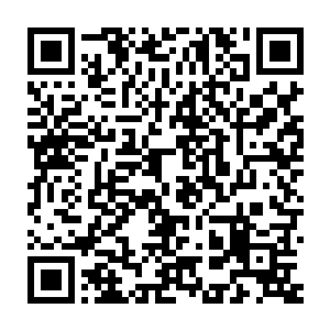 只见黑压压的成千上万的入侵者正在疯狂的朝着锦鲤一族这边狂涌而来二维码生成