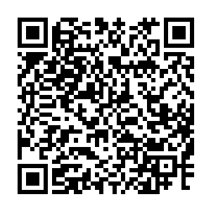 只见龙傲天手中的九天灭魂剑散发出一股令人灵魂颤抖的诡异的光芒二维码生成