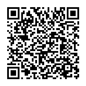 只见龙王的身子在众圣骑的拳头之中左倾右斜的躲过这他们的攻击二维码生成