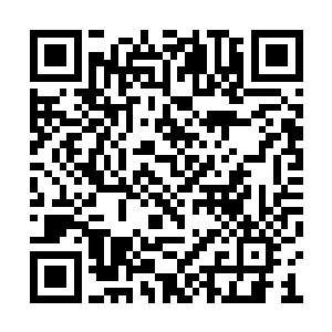 只觉得为这么个小本本付出这么多条性命不值得二维码生成
