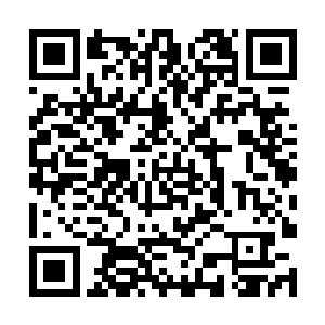 只觉得五脏六腑在那恐怖的冲击之下都几乎要移位了二维码生成