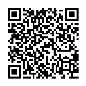 只觉得实在没有多少地方值得钟家三老爷夫妻这般的骄傲自满二维码生成
