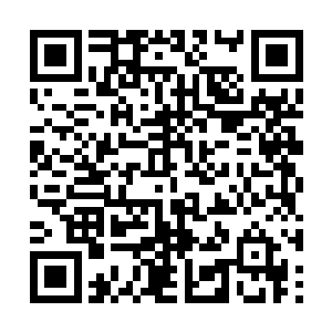 只觉得整个石壁都被成群结队的飞蛾翅膀震得发颤二维码生成