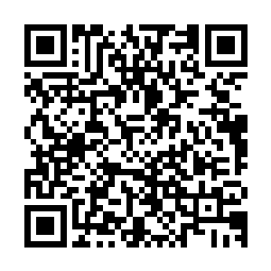 只觉得班长连衣裙上那几朵向日葵就像是太阳般放出刺眼的光芒二维码生成