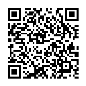 只觉得自己的魂力比一般魂力七级的人要厚实得多二维码生成