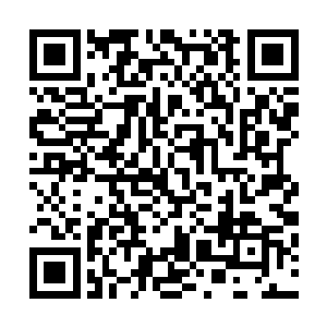 只觉得这桃红的颜色就像是夏季里的花瓣覆盖到衣服上一样二维码生成